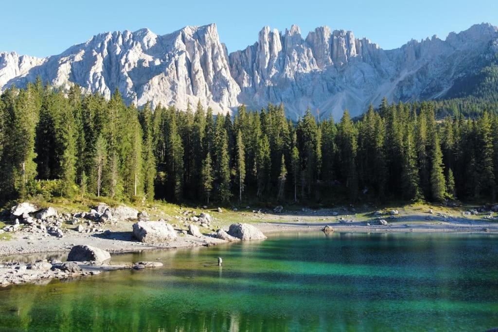 Encia'S Home Dolomiti Castello-Molina di Fiemme Екстериор снимка